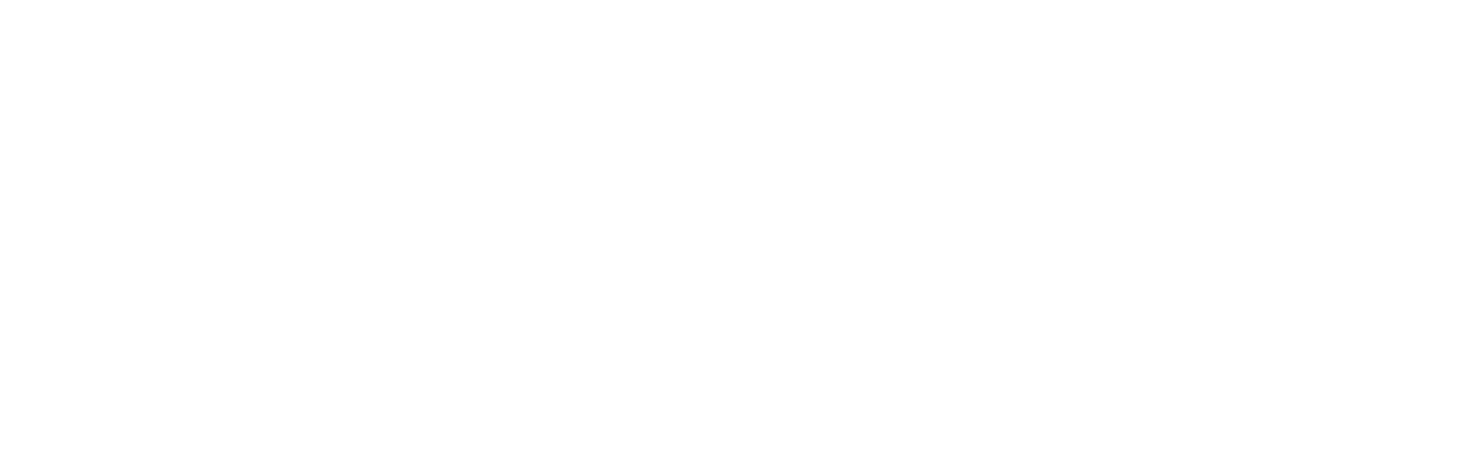 Priority Financial Group